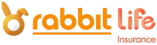 rabbit life rabbit life